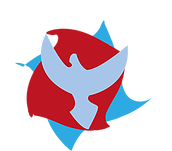 2656f8_f506739ca2fb41c596a9ac1edbfc02c5mv2