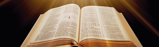 siamemx-info-15432-gd