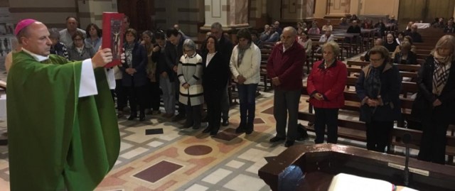 2b85444d-e20b-4e3f-93c4-ce0f05dc9478_large1