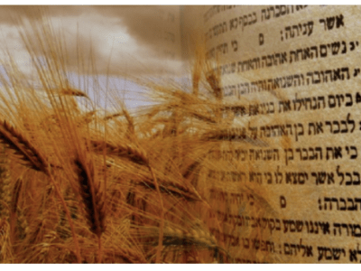 Las raíces hebreas de la fiesta de&nbsp;Pentecostés