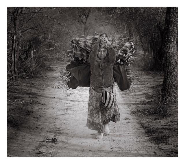 “Podría ser yo” …  Domingo 12 de diciembre. Una propuesta para celebrar en&nbsp;casa.