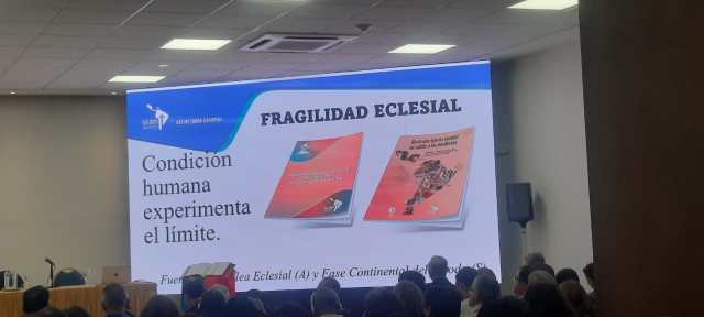 NUEVAS FORMAS ECLESIALES PARA NUEVOS DESAFÍOS PASTORALES:  X Asamblea&nbsp;Plenaria